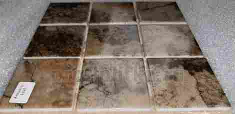 Мозаика Amuletto Leaf 4,8х4,8 фото 3