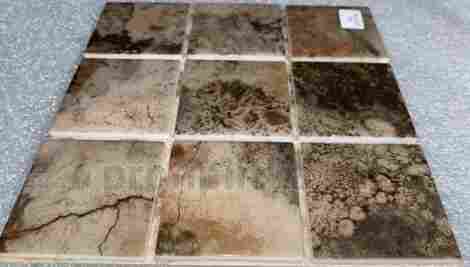 Мозаика Amuletto Leaf 4,8х4,8 фото 4