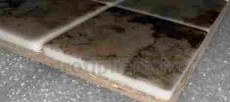 Мозаика Amuletto Leaf 4,8х4,8 фото 5