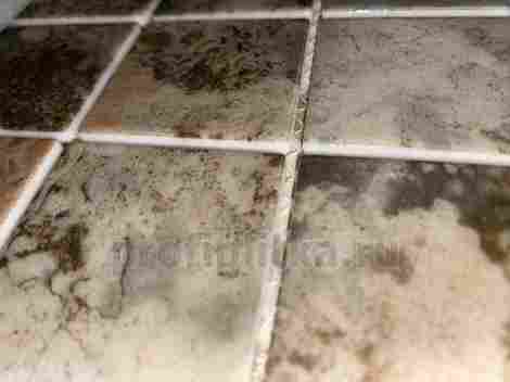 Мозаика Amuletto Leaf 4,8х4,8 фото 6
