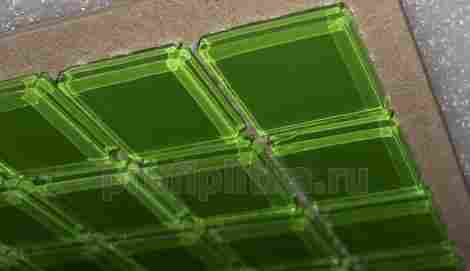 Мозаика Green Glass 2,5x2,5 фото 5