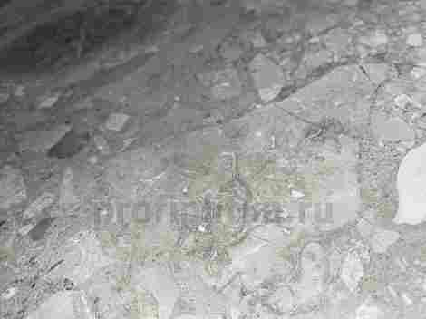 Керамогранит Брера Грэй Рет 60x120 фото 6
