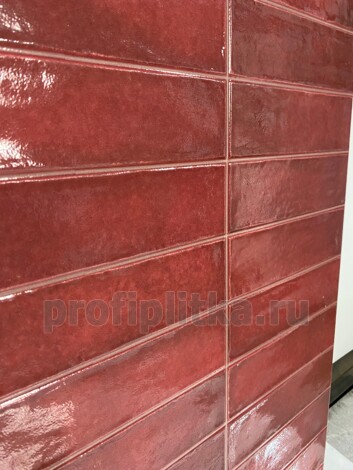 Керамогранит Deco Artis Plus Burdeos 32x62,5 фото 4