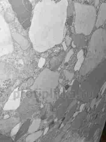Керамогранит Colorado Perla Natural 30x60 фото 6
