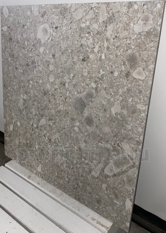 Керамогранит Ceppo Blanco PRO светло-серый матовый структурный 60x60 фото 6