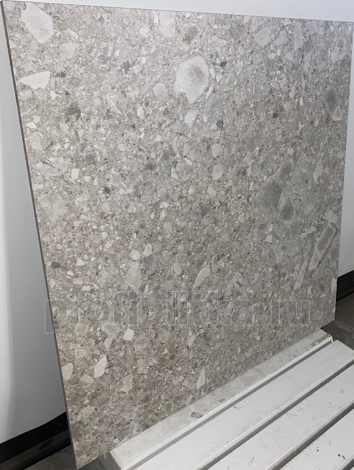 Керамогранит Ceppo Blanco PRO светло-серый матовый структурный 60x60 фото 2