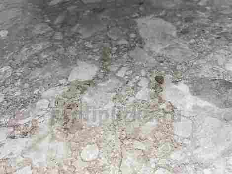 Керамогранит Palladino Light grey 60x60 фото 6