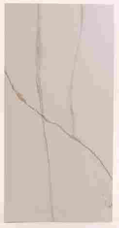 Керамогранит Maritaca Statuario Authentic 60x120 фото 2