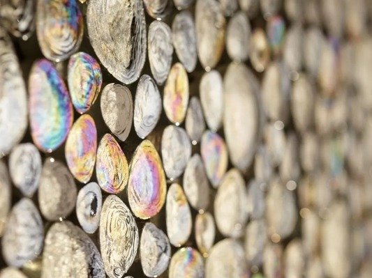 Коллекция Drops фото 2