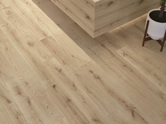 Коллекция Exence фото 13