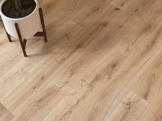 Коллекция Exence фото 14