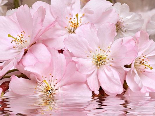 Коллекция Букет фото 2