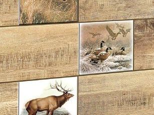 Коллекция Дуб фото 5