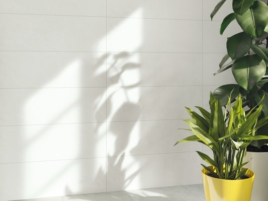 Коллекция Мальпенса фото 3