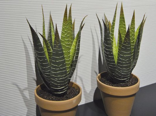 Коллекция Silextile фото 4