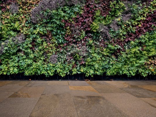 Коллекция Trail фото 7