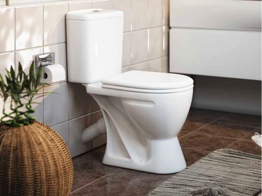 Коллекция Rosa Вега