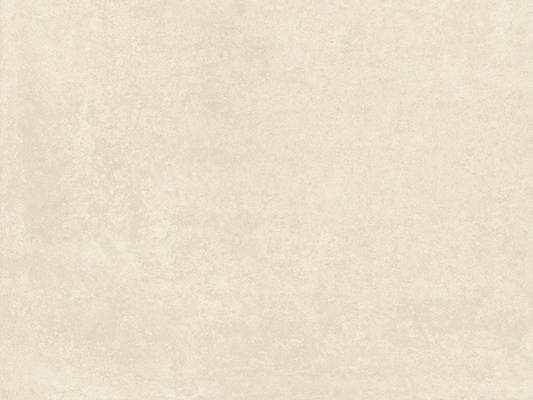 Коллекция Бетоника Бон ПРО