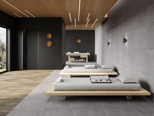 Коллекция Бетоника Грей ПРО