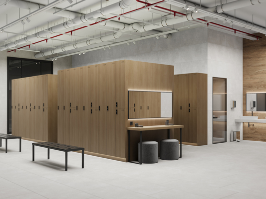 Коллекция Бетоника Сильвер ПРО