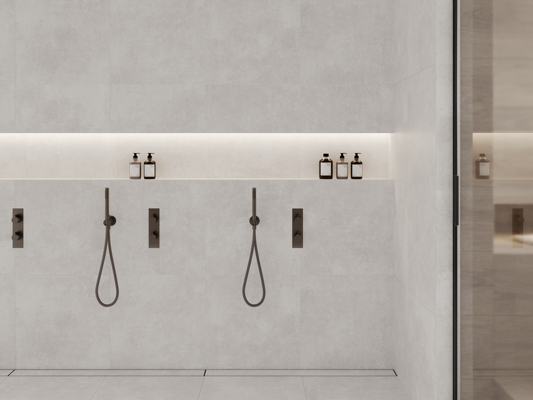 Коллекция Бетоника Сильвер ПРО фото 4