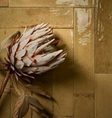 Коллекция Look фото 4