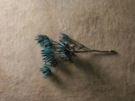 Коллекция Affrescati фото 11