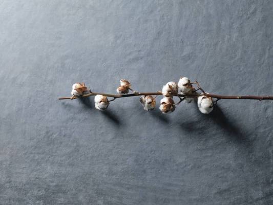 Коллекция Affrescati фото 14