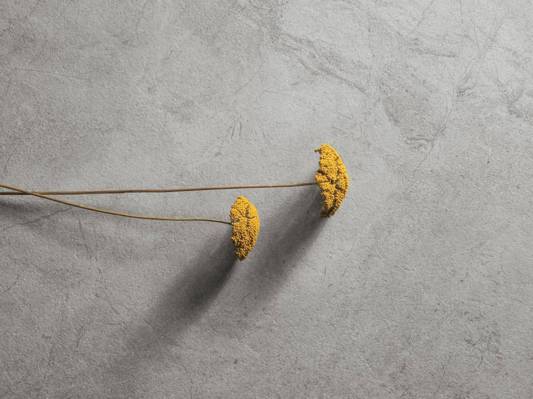 Коллекция River фото 16