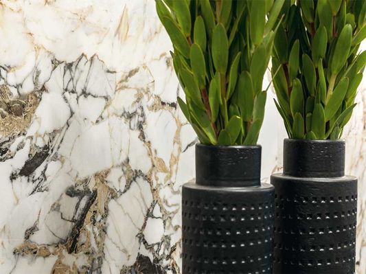 Коллекция Etoile de Rex фото 7