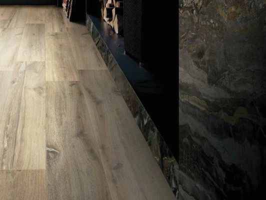 Коллекция Prexious of Rex фото 5