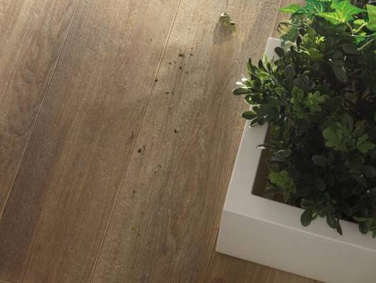 Коллекция Natural Appeal фото 11