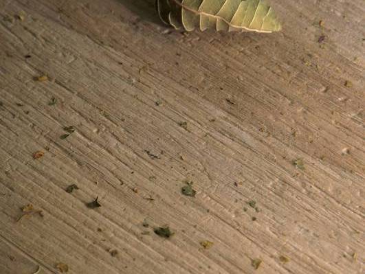 Коллекция Natural Appeal фото 5