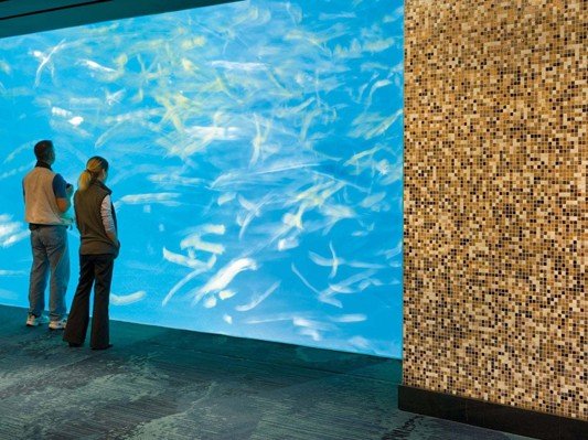 Коллекция Brillante фото 7