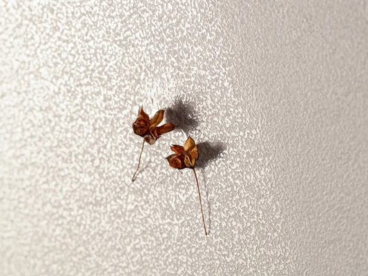 Коллекция Albiano MBL фото 4