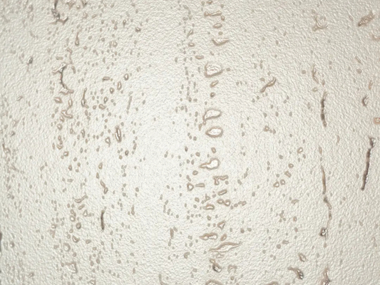 Коллекция Echo Tivoli фото 4