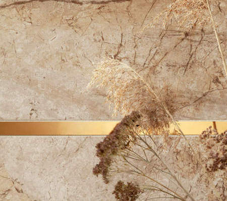 Коллекция Fargesia фото 2