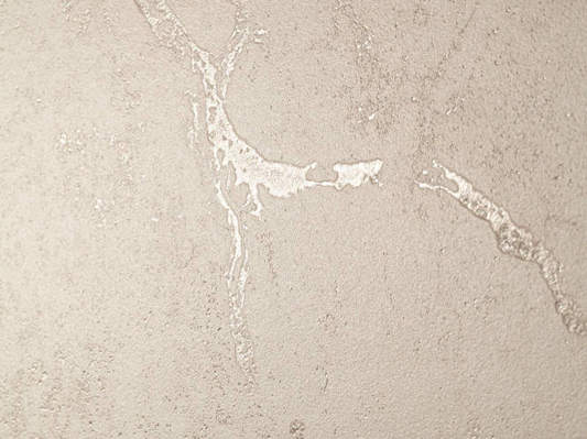 Коллекция Vanilla фото 5