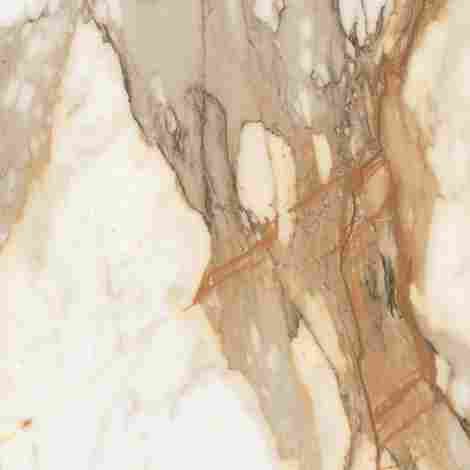 Керамогранит Borgini Gold gloss 60x60