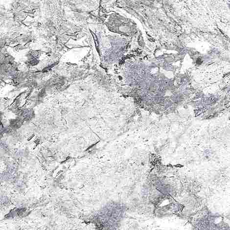 Керамогранит Ordito Grey gloss 60x60 фото 2