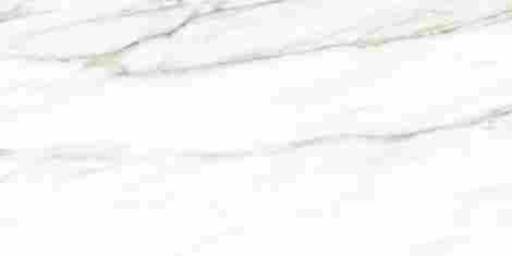 Плитка Euphoria 24,9x50 TWU2550EPH04