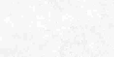 Плитка Stone 24,9x50 TWU09TON000