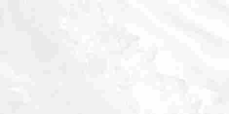 Плитка Palmira light 24,9x50