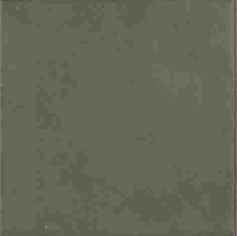 Керамогранит Contemporary Forest 15x15