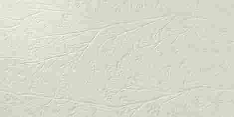 Плитка Divine Beige rect 60x120