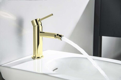 Aquatek Европа смеситель для биде однорычажный, шлифонванное золото фото 4