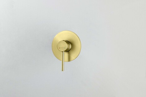 Aquatek Европа смеситель для душа встраиваемый (внешняя и скрытая часть), шлифованное золото фото 3