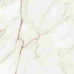 Керамогранит Carrara White 60x60 (11 мм) фото 3