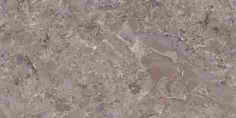 Керамогранит Danir Mud glossy 60x120