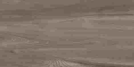 Керамогранит Goa Taupe матовый 30x60 фото 4